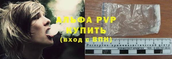 индика Белоозёрский