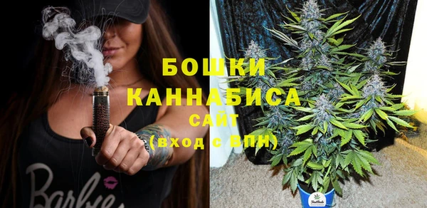 индика Белоозёрский