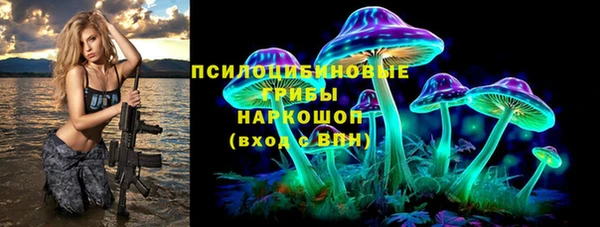 соль курить ск Белокуриха