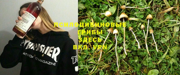 индика Белоозёрский